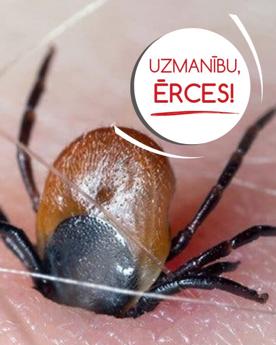 erces__1_.jpg