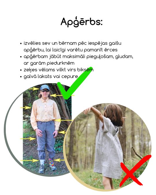 erces__3_.jpg